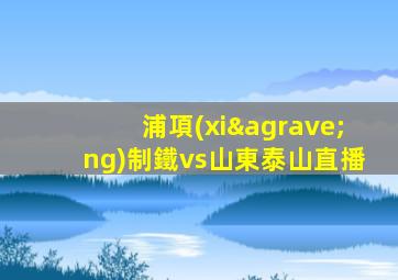 浦項(xiàng)制鐵vs山東泰山直播