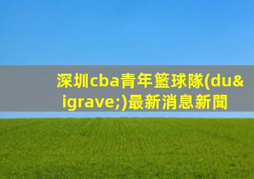 深圳cba青年籃球隊(duì)最新消息新聞