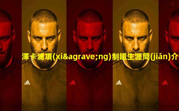 澤卡浦項(xiàng)制鐵生涯簡(jiǎn)介