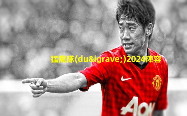 猛龍隊(duì)2024陣容