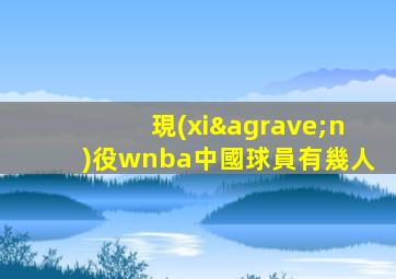 現(xiàn)役wnba中國球員有幾人
