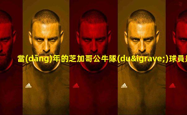 當(dāng)年的芝加哥公牛隊(duì)球員是誰