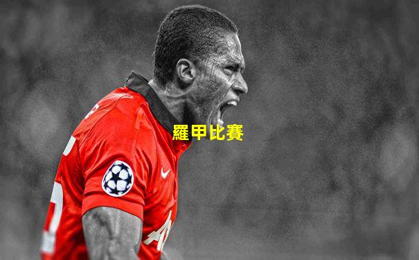 羅甲比賽