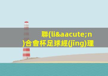 聯(lián)合會杯足球經(jīng)理