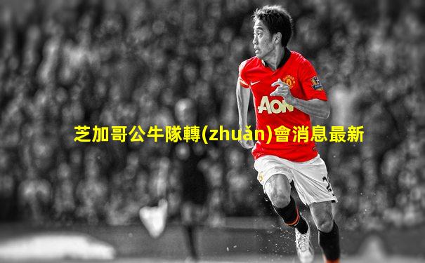 芝加哥公牛隊轉(zhuǎn)會消息最新