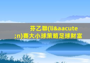 芬乙聯(lián)賽大小球策略足球財富