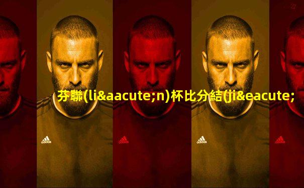 芬聯(lián)杯比分結(jié)果