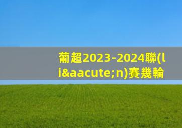 葡超2023-2024聯(lián)賽幾輪