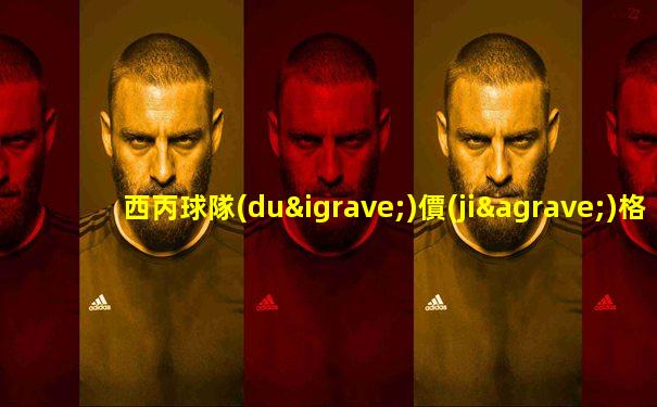 西丙球隊(duì)價(jià)格多少
