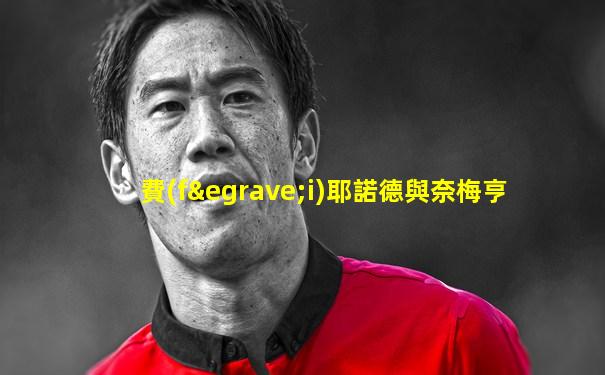 費(fèi)耶諾德與奈梅亨
