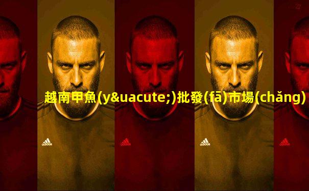 越南甲魚(yú)批發(fā)市場(chǎng)