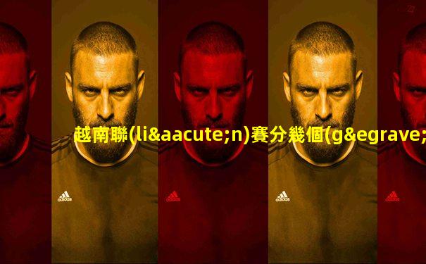 越南聯(lián)賽分幾個(gè)級(jí)別