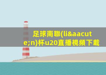 足球南聯(lián)杯u20直播視頻下載