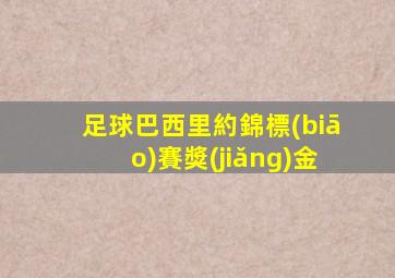 足球巴西里約錦標(biāo)賽獎(jiǎng)金