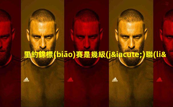 里約錦標(biāo)賽是幾級(jí)聯(lián)賽比賽