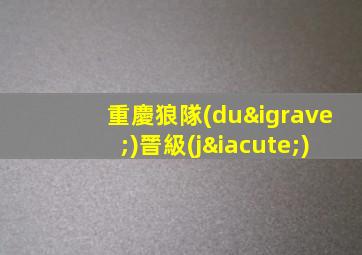 重慶狼隊(duì)晉級(jí)