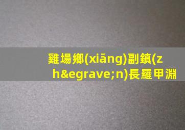 雞場鄉(xiāng)副鎮(zhèn)長羅甲淵