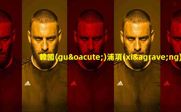 韓國(guó)浦項(xiàng)制鐵足球俱樂(lè)部
