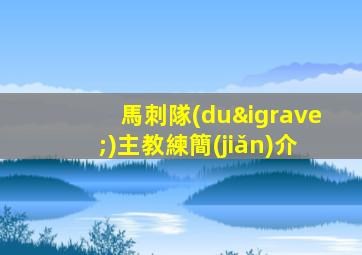 馬刺隊(duì)主教練簡(jiǎn)介