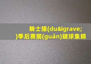 騎士隊(duì)季后賽關(guān)鍵球集錦