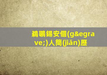 鵜鶘錫安個(gè)人簡(jiǎn)歷