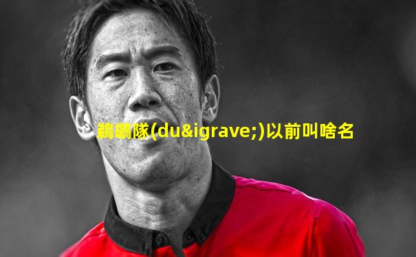 鵜鶘隊(duì)以前叫啥名