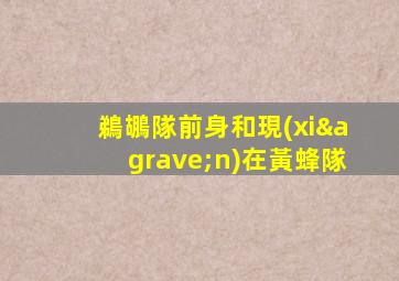 鵜鶘隊前身和現(xiàn)在黃蜂隊